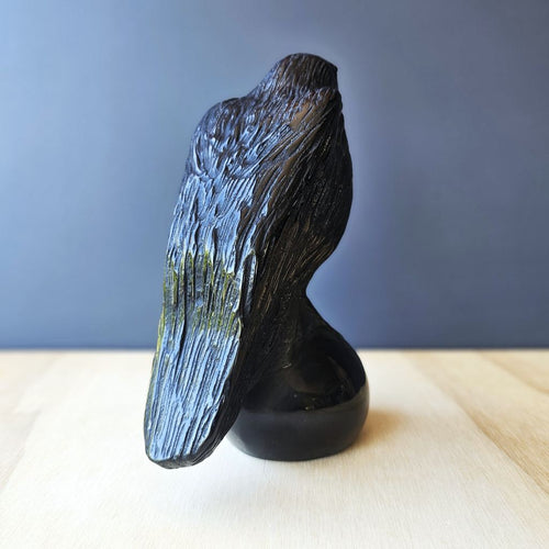 Black Obsidian Ravens | The Black Oracle