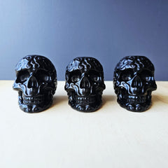 Black Obsidian Skulls | The Ancestral Etched Guardian