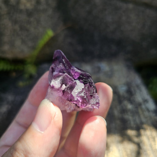 Black Warrior Purple Fluorite | 31gm