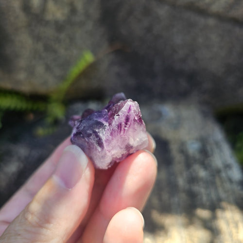 Black Warrior Purple Fluorite | 31gm
