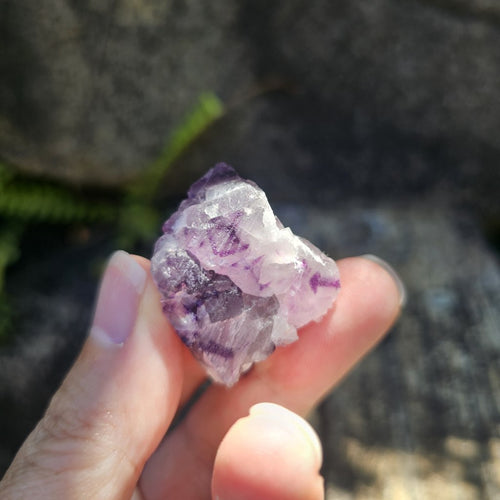 Black Warrior Purple Fluorite | 31gm