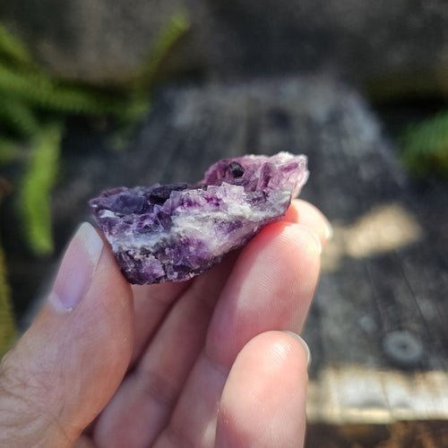 Black Warrior Purple Fluorite | 31gms