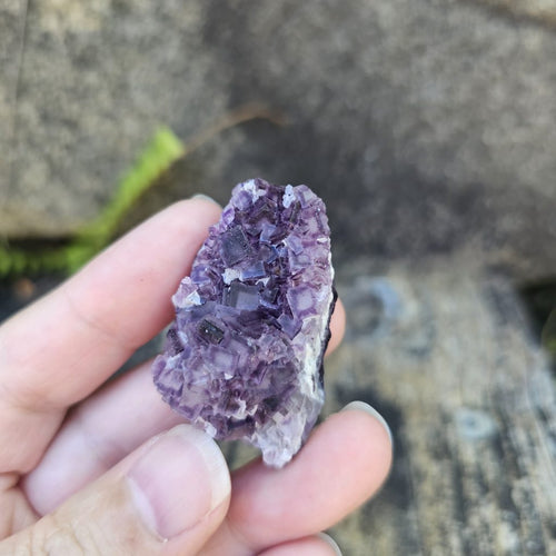 Black Warrior Purple Fluorite | 31gms