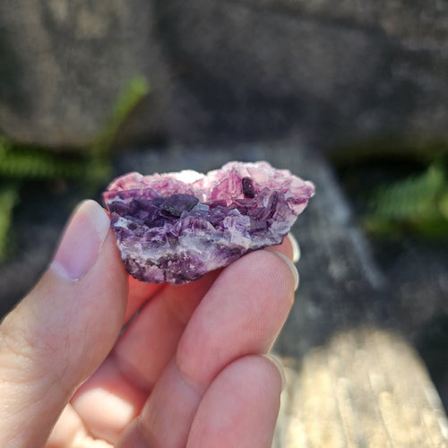 Black Warrior Purple Fluorite | 31gms