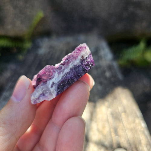 Black Warrior Purple Fluorite | 31gms