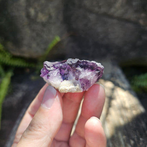 Black Warrior Purple Fluorite | 32gms