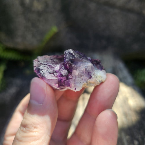 Black Warrior Purple Fluorite | 32gms