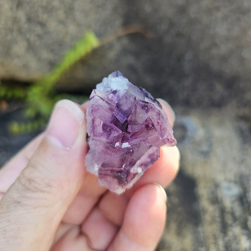 Black Warrior Purple Fluorite | 35gms