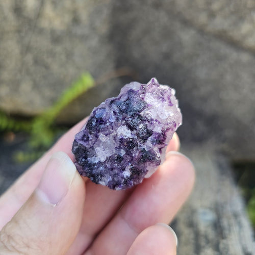 Black Warrior Purple Fluorite | 35gms