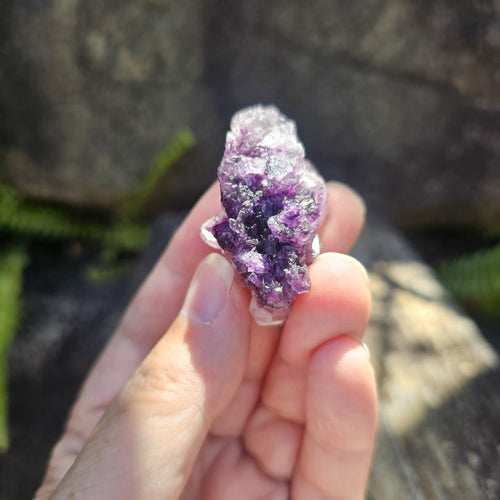 Black Warrior Purple Fluorite | 38gms