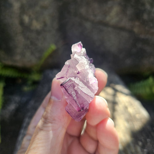Black Warrior Purple Fluorite | 38gms