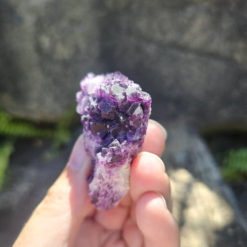 Black Warrior Purple Fluorite | 42gms