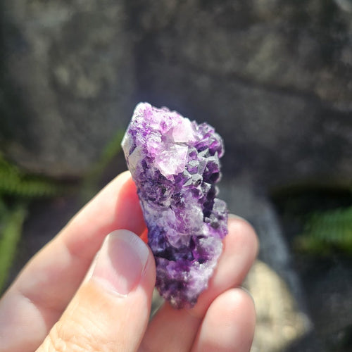 Black Warrior Purple Fluorite | 42gms