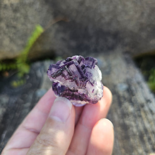 Black Warrior Purple Fluorite | 44gms