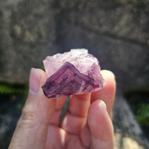 Black Warrior Purple Fluorite | 45gms