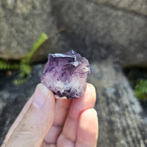 Black Warrior Purple Fluorite | 46gms