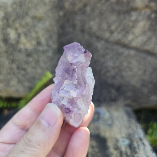 Black Warrior Purple Fluorite | 55gms
