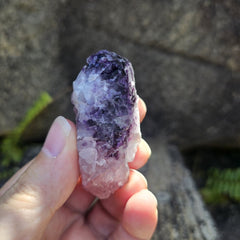 Black Warrior Purple Fluorite | 55gms