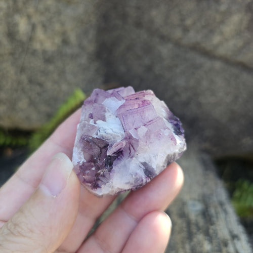 Black Warrior Purple Fluorite | 82gms