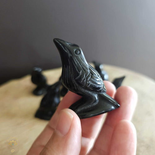 Blackbirds | Black Obsidian