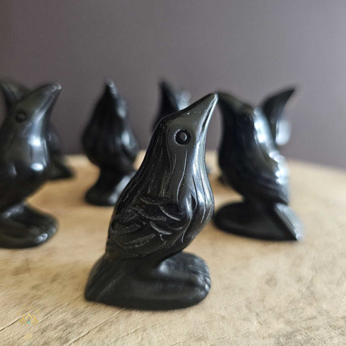 Blackbirds | Black Obsidian