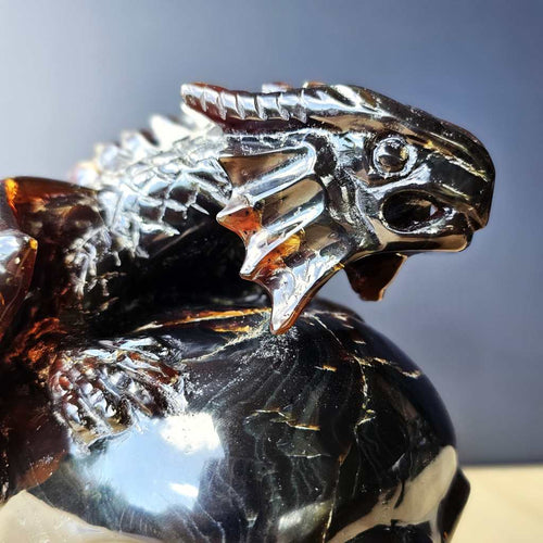 Blue Amber Skull & Dragon Carving | Imperium Draconis