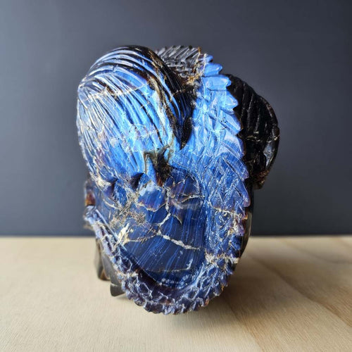 Blue Amber Skull & Dragon Carving | Imperium Draconis