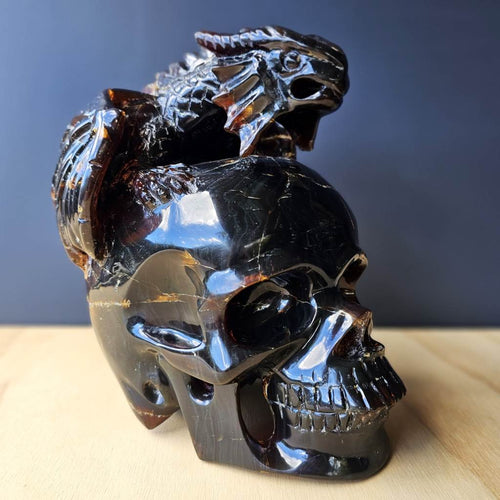 Blue Amber Skull & Dragon Carving | Imperium Draconis