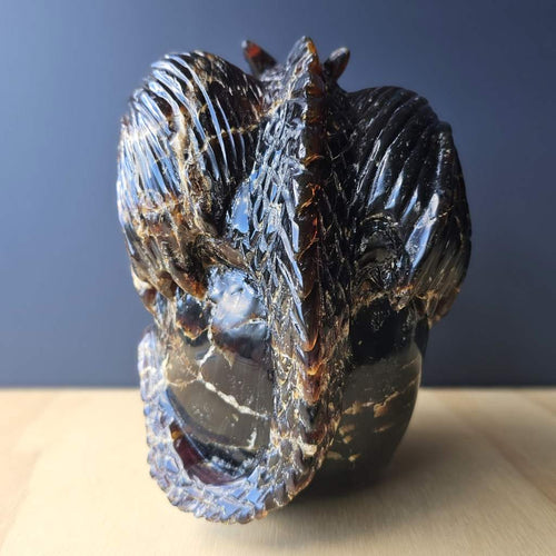 Blue Amber Skull & Dragon Carving | Imperium Draconis