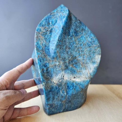 Blue Apatite Extra Large Flame | Soft Authority