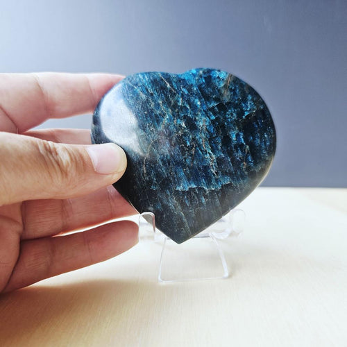 Blue Apatite | Heart 314gms