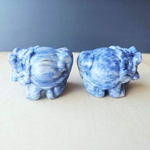 Blue Kyanite Dragon Turtle | Clear Vision Guardians