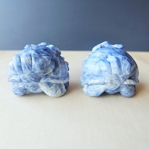 Blue Kyanite Dragon Turtle | Clear Vision Guardians