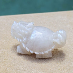 Blue Moonstone Dragon Turtle | Blue Flash Longgui