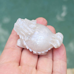 Blue Moonstone Dragon Turtle | Blue Flash Longgui