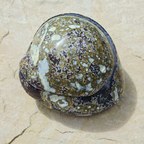 Brazilian Agate & Quartz Geode | The Celestial Keep