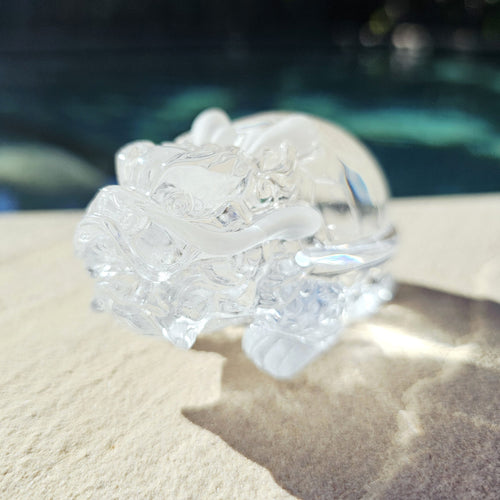 Brazilian Clear Quartz Dragon Turtle | The Quartz Guardian
