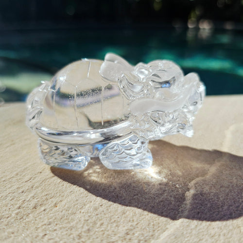 Brazilian Clear Quartz Dragon Turtle | The Quartz Guardian