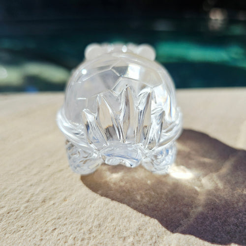 Brazilian Clear Quartz Dragon Turtle | The Quartz Guardian