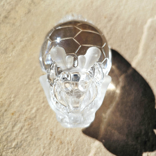 Brazilian Clear Quartz Dragon Turtle | The Quartz Guardian