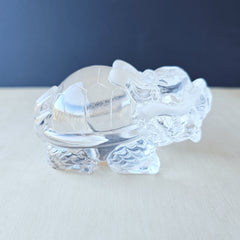 Brazilian Clear Quartz Dragon Turtle | The Quartz Guardian
