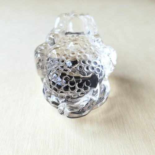 Brazilian Quartz Money Toad | Guardian Of Prosperity