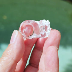 Brazilian Quartz Pixiu | Prosperity Pixius