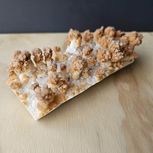 Calcite Stalactite Specimen | Forest Of Calcite Trees