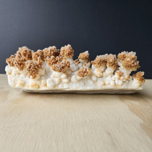 Calcite Stalactite Specimen | Forest Of Calcite Trees