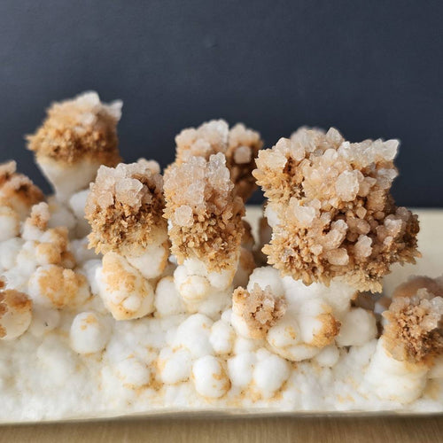 Calcite Stalactite Specimen | Forest Of Calcite Trees