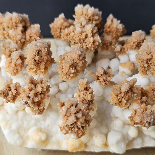 Calcite Stalactite Specimen | Forest Of Calcite Trees