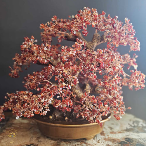 Carnelian Crystal Bonsai | Passion
