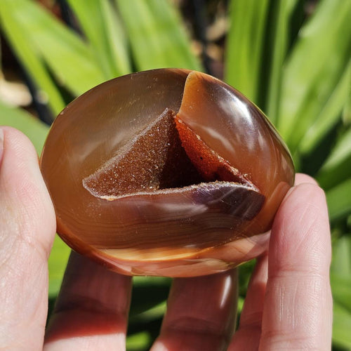 Carnelian Druzy Geode| Cradle Of Crystals