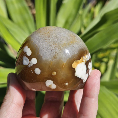 Carnelian Druzy Geode| The Quartz Reservoir